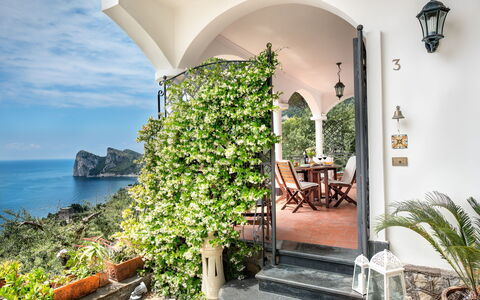 Medusa And The Seahorse Villa: Plante, Bygning, Vand, Ejendom, Sky, Bord, Blomsterkrukke, Himmel, Azure, Vindue