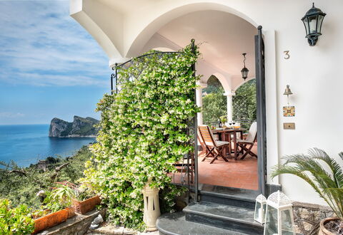 Medusa And The Seahorse Villa: Plante, Bygning, Vand, Ejendom, Bord, Sky, Blomsterkrukke, Himmel, Azure, Blomst