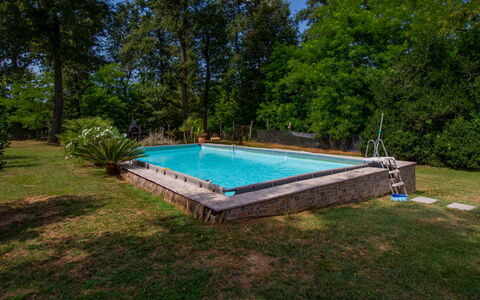 Elena: Svømmepøl, Skygge, Have, Fritid, Backyard, Landscaping, Parkere, Water Feature, Eco Hotel, Udvej