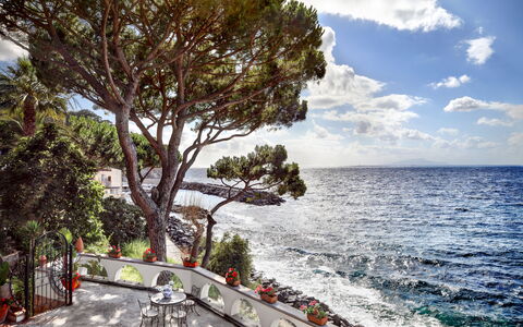 Appartamento Lobra: Himmel, Vand, Sky, Træ, Strand, Coastal Og Oceaniske Landskabsformer, Arecales, Plante, Krop Af Vand