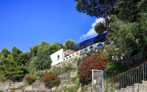 Appartamento Lobra: Himmel, Plante, Bygning, Blå, Blomst, Sky, Vindue, Træ, Vegetationen, Land Lot