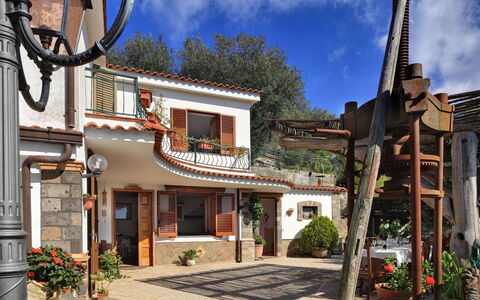 La Villa Dell'olio: Plante, Sky, Himmel, Ejendom, Bygning, Vindue, Blomsterkrukke, Dør, Træ, Kvarter