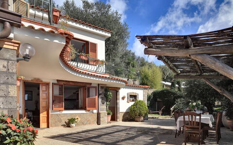 La Villa Dell'olio: Plante, Sky, Ejendom, Himmel, Vindue, Bygning, Blomsterkrukke, Træ, Dør