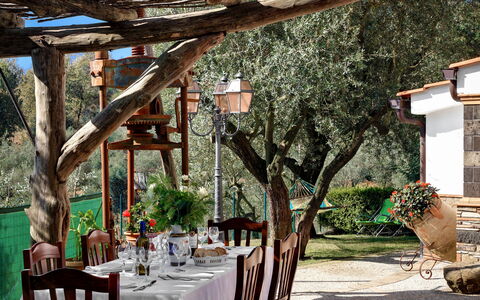 La Villa Dell'olio: Bord, Bordservice, Møbel, Plante, Stol, Dug, Bygning, Dekoration, Træ, Indretning