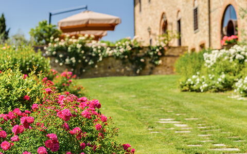 Villa Sole Del Chianti: Blomst, Plante, Bygning, Natur, Botanik, Kronblad, Vindue, Himmel, Træ, Græs