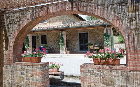 Agriturismo L'incrociata: Plante, Blomst, Vindue, Blomsterkrukke, Bygning, Skygge, Murværk, Mursten, Stueplante, Træ