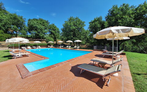 Agriturismo L'incrociata: Svømmepøl, Udvej, Eco Hotel, Udendørs Møbler, Have, Hacienda, Skygge, Estate, Liggestol, Landscaping