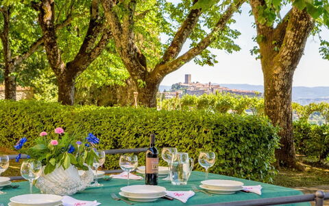 Villa Sorbaiano: Bord, Plante, Bordservice, Ejendom, Grøn, Træ, Vinglas, Stol, Himmel, Dug