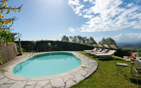 Villa Elisa: Svømmepøl, Udendørs Møbler, Udvej, Eco Hotel, Lawn, Landscaping, Skygge, Gård, Backyard, Villa