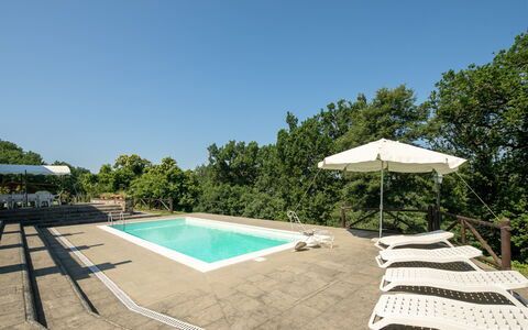 Grezzano Villa: Himmel, Træ, Svømmepøl, Skygge, Udendørs Møbler, Land Lot, Arecales, Græs, Fritid, Landskab