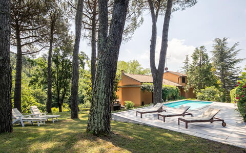 Villa Del Mugello: Plante, Bygning, Ejendom, Himmel, Skygge, Træ, Hus, Land Lot, Sky, Svømmepøl