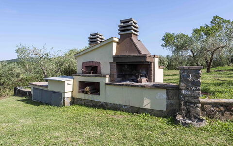Casina Dell'acquaborra: Have, Backyard, Lawn, Landscaping, Estate, Gård, Stuehus, Udendørs Struktur, Murværk Oven