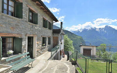 Rustico Olmo