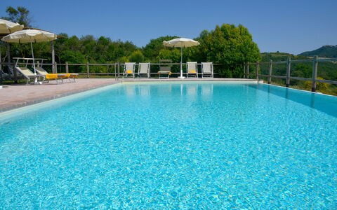 Villa Guardistallo: Vand, Himmel, Ejendom, Svømmepøl, Azure, Krop Af Vand, Træ, Fritid, Aqua, Plante