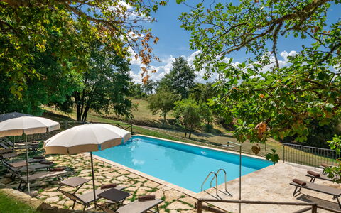 Villa Lucarella: Svømmepøl, Udendørs Møbler, Udvej, Fritid, Have, Skygge, Eco Hotel, Liggestol, Backyard, Estate