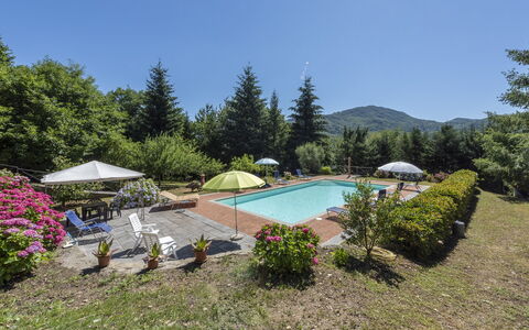 Villa Rosata: Plante, Vand, Blomst, Paraply, Plantesamfund, Svømmepøl, Himmel, Træ, Udendørs Møbler, Naturlige Landskab