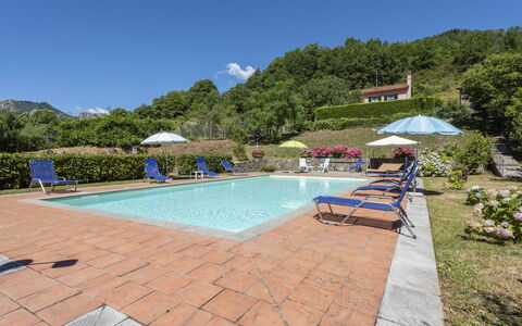 Villa Rosata: Vand, Plante, Himmel, Møbel, Stol, Bygning, Svømmepøl, Paraply, Træ, Udendørs Møbler
