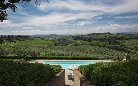 Chianti Fornace 1: Sky, Himmel, Vand, Plante, Vandressourcer, Naturlige Landskab, Vegetationen, Træ, Svømmepøl, Græs