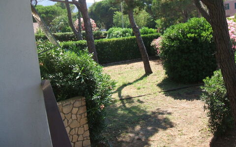 Casa Argentario: Plante, Ejendom, Blad, Botanik, Natur, Træ, Vegetationen, Skygge, Land Lot, Vejbelægning