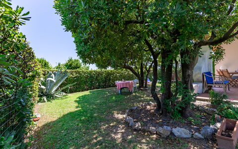Villa Il Pesco: Plante, Ejendom, Natur, Blad, Træ, Vegetationen, Himmel, Biome, Græs, Vedplante