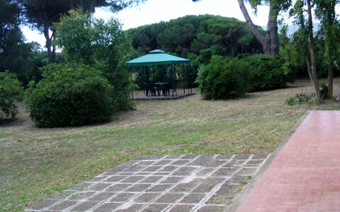 Giannella Holiday Apartment: Plante, Ejendom, Blad, Træ, Botanik, Skygge, Vejbelægning, Vegetationen, Land Lot, Græs