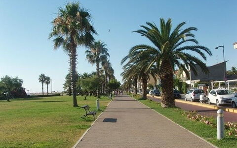 Villa Clair: Træ, Offentlige Rum, Fritid, Walkway, Vedplante, Fortov, Skygge, Fritid, Ferie