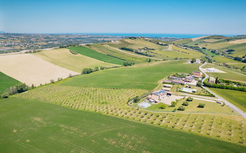 Villa Clair: Fugleperspektiv, Almindeligt, Landskab, Naturlige Landskab, Luftfotografering, Mark, Græs-, Land Lot, Landdistrikt, Landbrug
