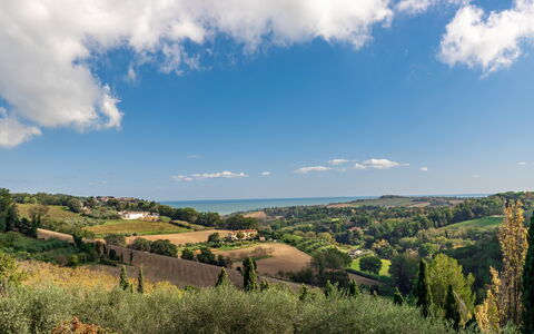 Villa Vagnini: Sky, Himmel, Plante, Azure, Naturlige Landskab, Naturligt Miljø, Træ, Highland, Land Lot, Sollys