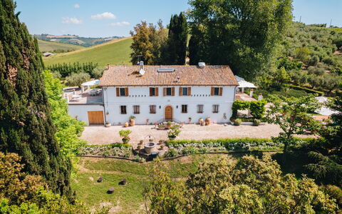 Villa La Picena: Hus, Estate, Hjem, Mansion, Villa, Have, Landscaping, Hacienda, Stuehus, Plantation