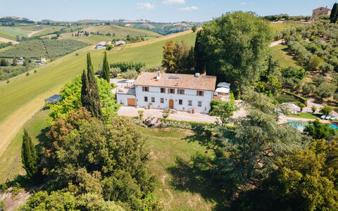 Villa La Picena: Estate, Mansion, Villa, Hacienda, Mad, Svømmepøl, Plantation, Eco Hotel, Stuehus