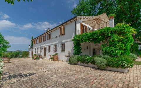 Villa La Picena: Plante, Himmel, Sky, Bygning, Vindue, Træ, Hus, Dør, Land Lot, Vegetationen