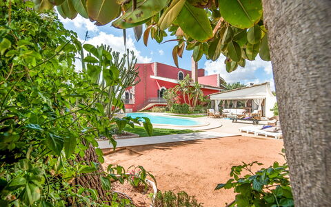 Villa Rossana: Plante, Himmel, Bygning, Skygge, Vegetationen, Arecales, Krop Af Vand, Vindue, Hus, Kvarter