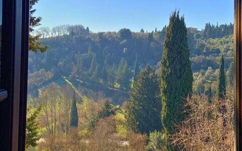 Borgo Delle Fonti: Blad, Træ, Natur, Naturligt Miljø, Bjergrige Landskabsformer, Vegetationen, Skov, Bjerg, Highland, Bakke