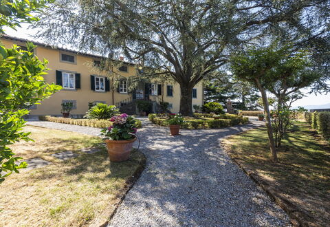 Villa San Gennaro: Plante, Bygning, Vindue, Træ, Himmel, Vejbelægning, Land Lot, Hus, Landskab, Græs