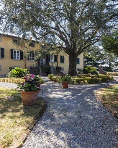 Villa San Gennaro: Plante, Bygning, Vindue, Træ, Himmel, Vejbelægning, Land Lot, Hus, Landskab, Græs