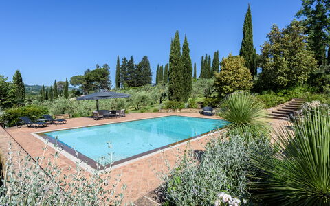 Villa Pancole: Vand, Plante, Himmel, Træ, Natur, Azure, Græs, Svømmepøl, Naturlige Landskab, Fritid