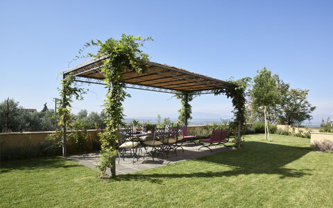 Casa Lionardo: Land Lot, Have, Skygge, Udendørs Møbler, Bunddække, Pergola, Udendørs Struktur, Landscaping, Blomsterkrukke