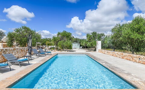 Trullo Ulivo: Vand, Sky, Himmel, Plante, Ejendom, Blå, Svømmepøl, Træ, Azure, Krop Af Vand