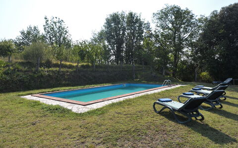 Villa Antelminelli: Plante, Himmel, Svømmepøl, Træ, Skygge, Udendørs Møbler, Udendørs Bench, Rektangel, Fritid, Græs