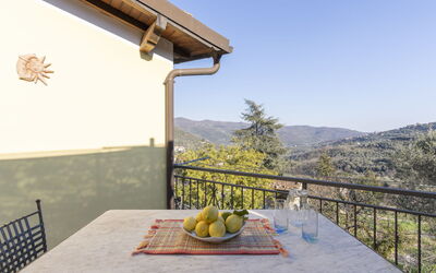 Lory House