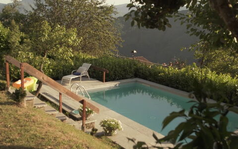 Villa In Garfagnana: Vand, Plante, Svømmepøl, Krop Af Vand, Udendørs Møbler, Træ, Stol, Græs, Landskab, Fritid