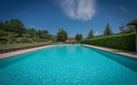 Fonte Nuova - Badia Agnano, Toscana: Vand, Plante, Himmel, Vandressourcer, Daytime, Ejendom, Svømmepøl, Natur, Sky, Azure
