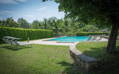 Fonte Nuova - Badia Agnano, Toscana: Vand, Plante, Himmel, Svømmepøl, Azure, Træ, Skygge, Sky, Udendørs Møbler, Græs