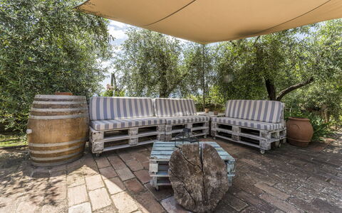 Casa Anita - Castellina In Chianti - Granaio, Tosc: Ejendom, Plante, Bord, Barrel, Træ, Træ, Udendørs Møbler, Græs, Skygge, Væg