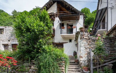 Il Gianlupo Grigio - San Lorenzo, Piedmont, Italien