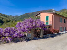 La Casa Dei Glicini - Levanto