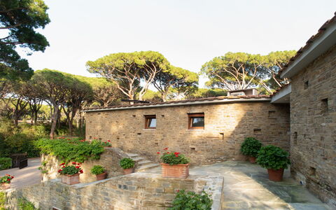 Villa La Pineta: Plante, Himmel, Ejendom, Bygning, Vindue, Træ, Sommerhus, Hus, Blomsterkrukke, Kvarter
