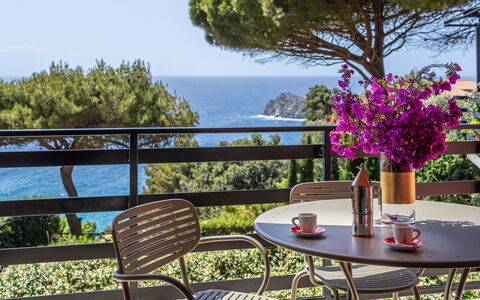 Argentarola House, Porto Santo Stefano, Seaview An: Blomst, Plante, Bord, Himmel, Møbel, Ejendom, Blomsterkrukke, Natur, Stol, Bygning