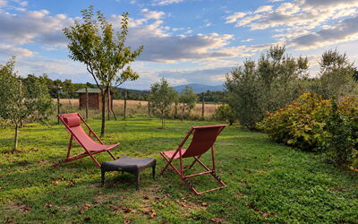 Alice - Podere Ribatti - Casole D'elsa, Toscana