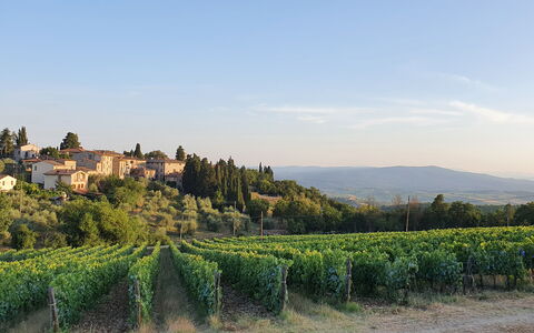 Il Nespolo Charming Apartment Fonterutoli - Siena,: Himmel, Plante, Bygning, Naturlige Landskab, Sky, Træ, Landskab, Horisont, Almindeligt, Landbrug